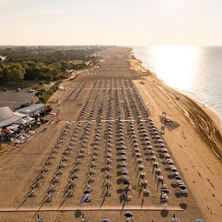 Apartment Modern Flat In A Convenient Area